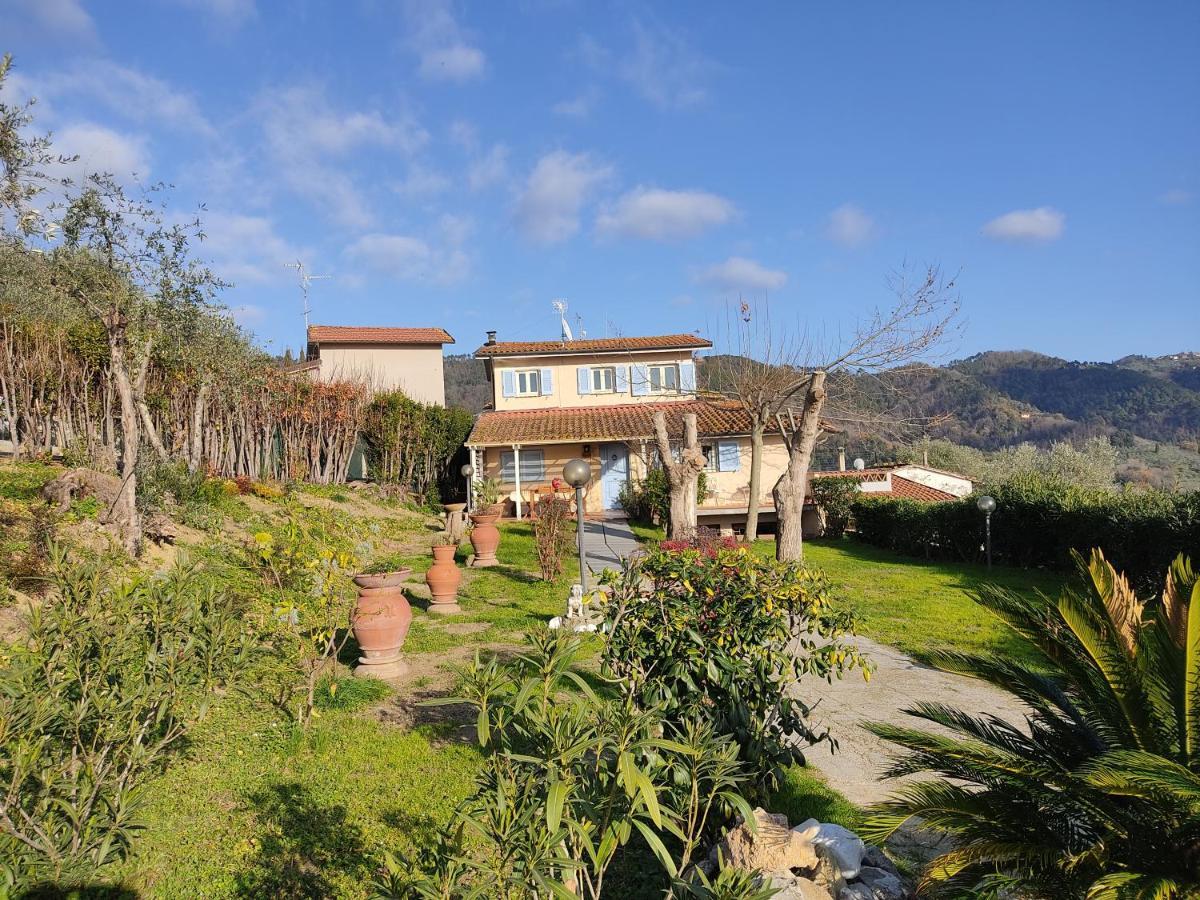 La Tana Del Geco Villa Massarosa Kültér fotó
