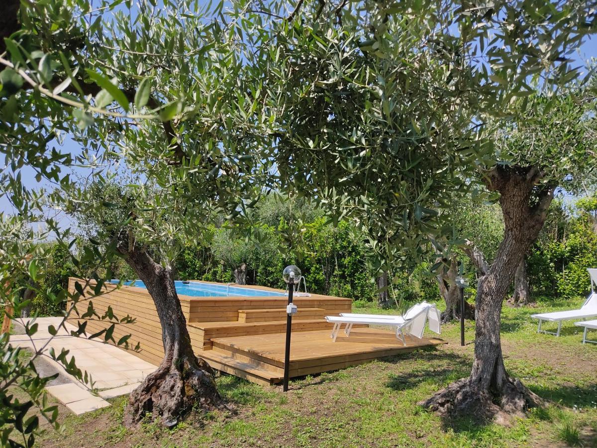 La Tana Del Geco Villa Massarosa Kültér fotó
