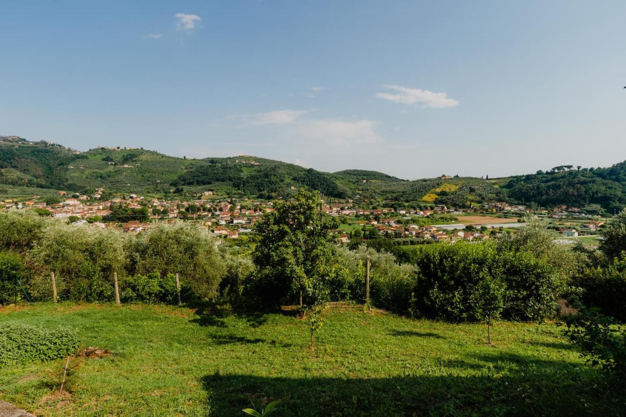 La Tana Del Geco Villa Massarosa Kültér fotó