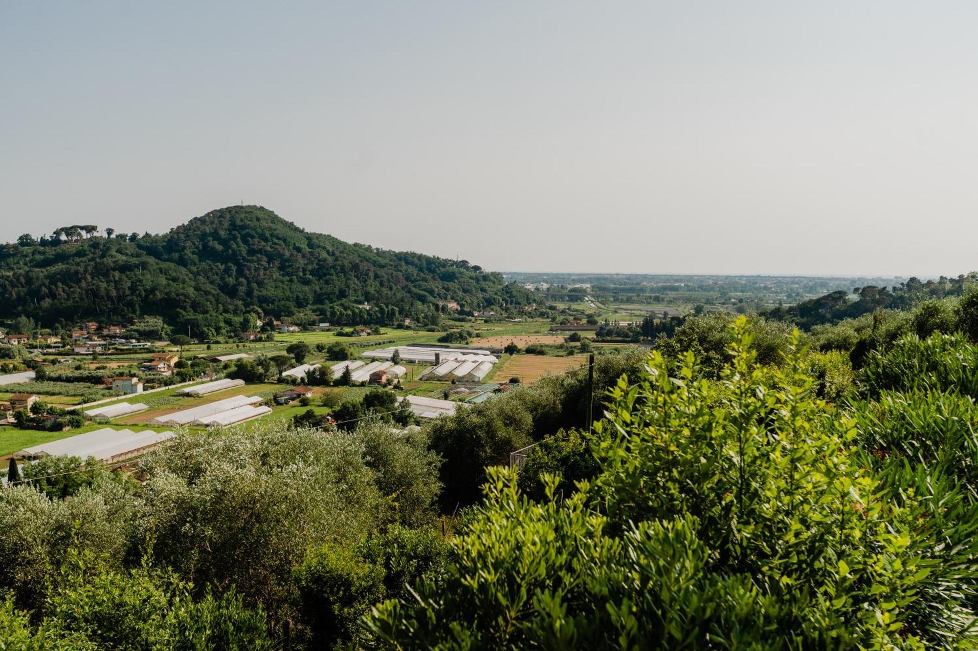 La Tana Del Geco Villa Massarosa Kültér fotó